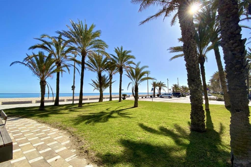 Nereo 7 Primera Linea De Playa San Juan Piscina, Parking Wifi Inmobiliaria Leo Alicante Eksteriør bilde