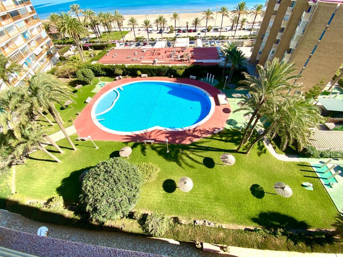 Nereo 7 Primera Linea De Playa San Juan Piscina, Parking Wifi Inmobiliaria Leo Alicante Eksteriør bilde